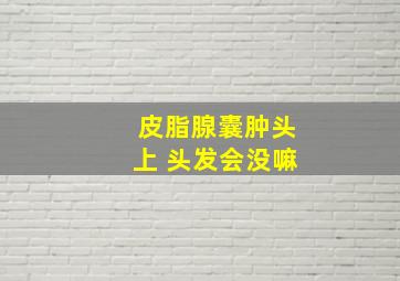 皮脂腺囊肿头上 头发会没嘛